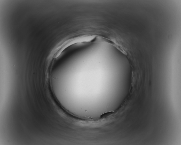 X0000086300005200704201951