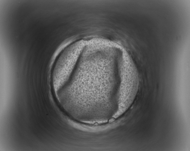 X0000086300006200704201951