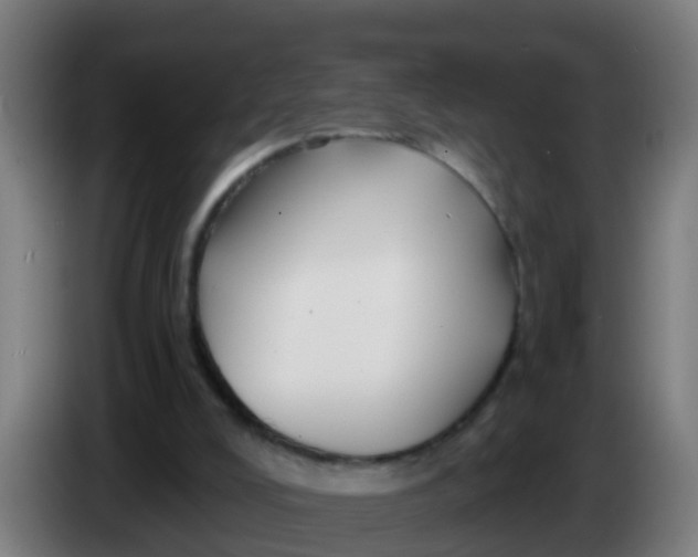 X0000086300008200704201951