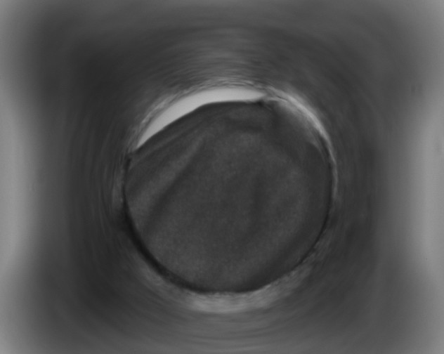 X0000086300009200704201951