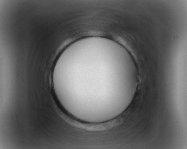 X0000086300011200704201951