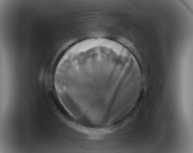 X0000086300012200704201951