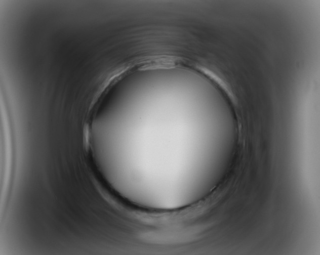 X0000086300013200704201951