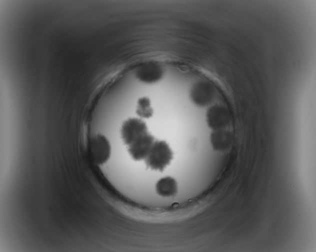 X0000086300014200704201951