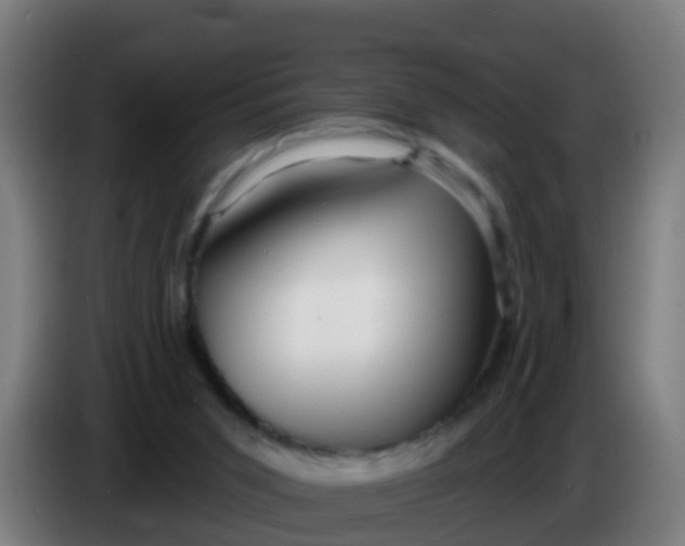 X0000086300015200704201951