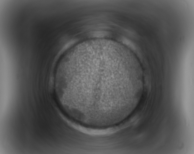 X0000086300016200704201951