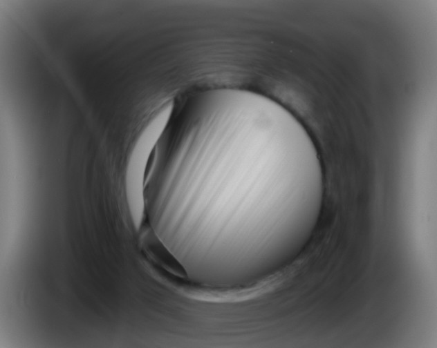 X0000086300017200704201951