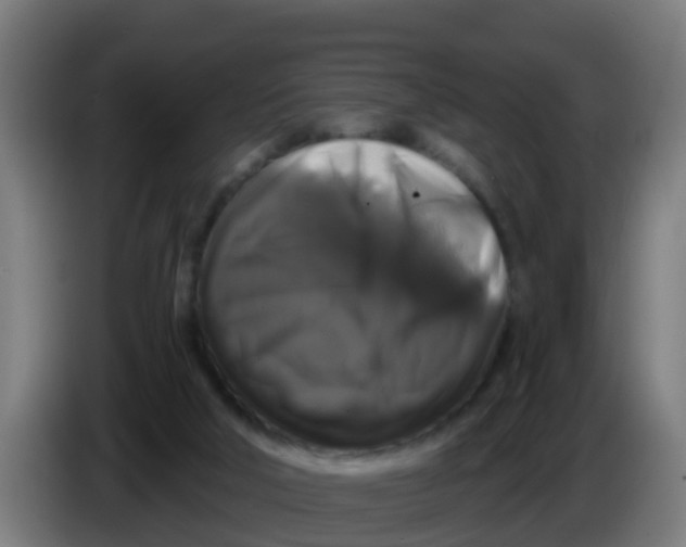 X0000086300018200704201951