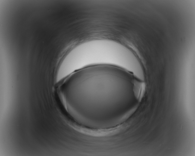 X0000086300019200704201951