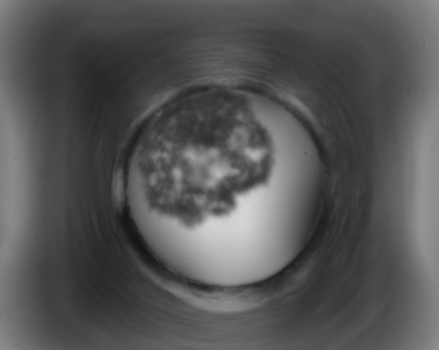 X0000086300020200704201951