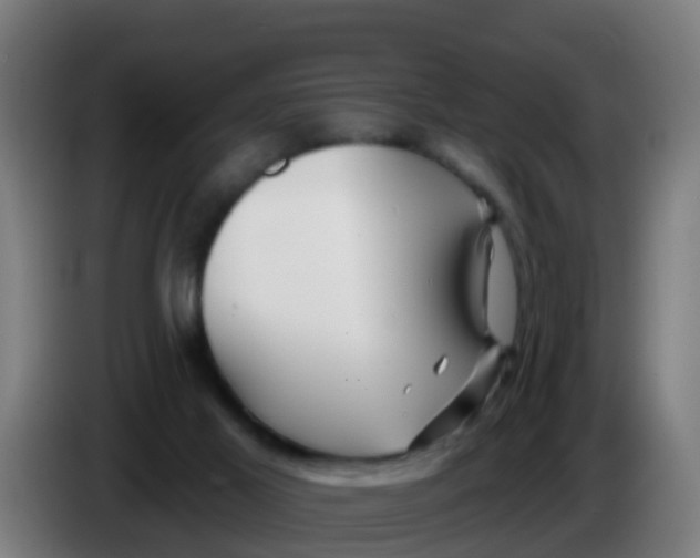 X0000086300021200704201951