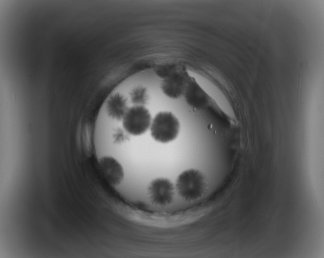 X0000086300022200704201951