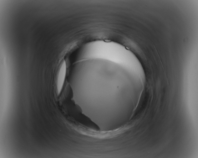 X0000086300023200704201951