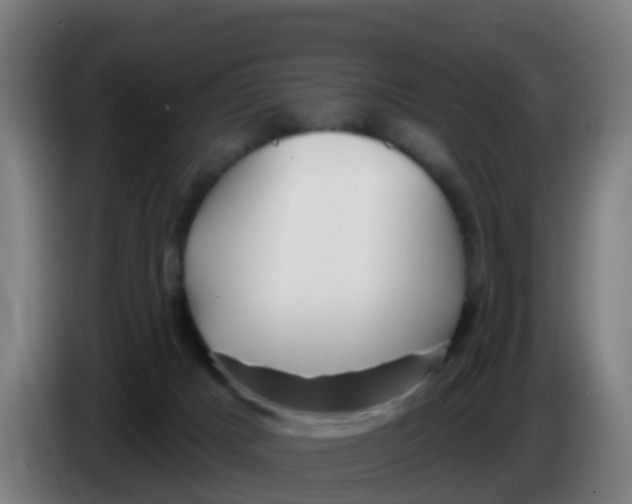 X0000086300025200704201951