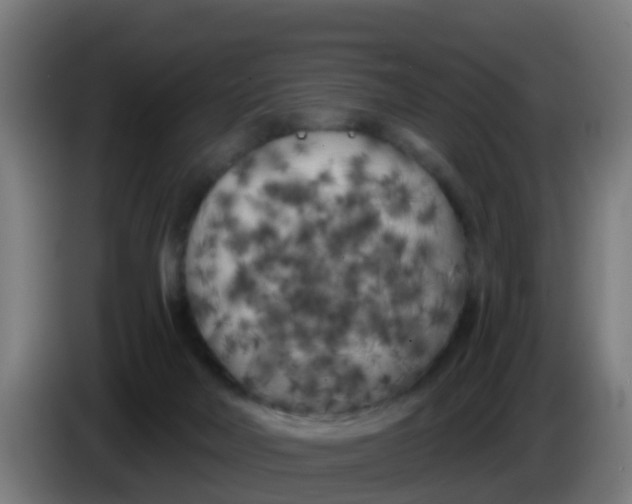 X0000086300026200704201951