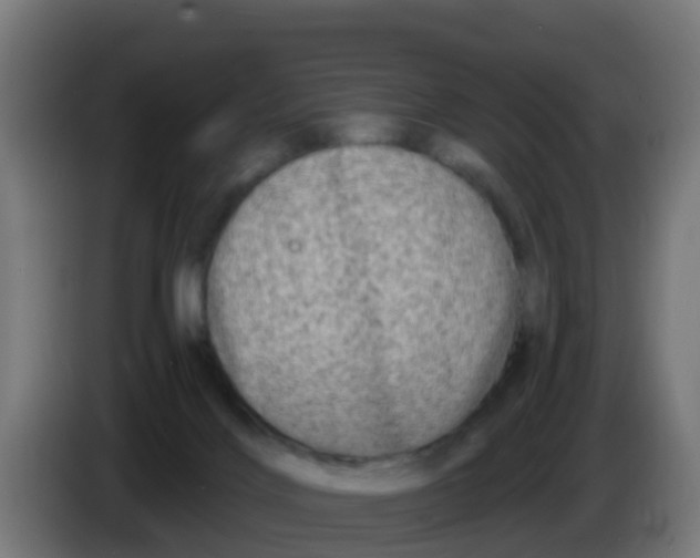 X0000086300028200704201951