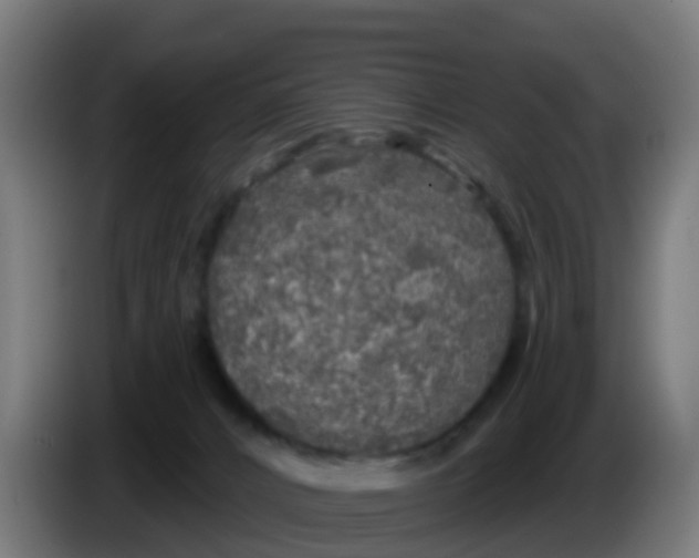 X0000086300032200704201951