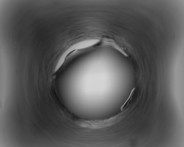 X0000086300033200704201951