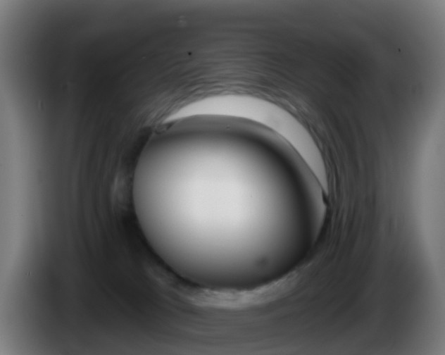 X0000086300037200704201951