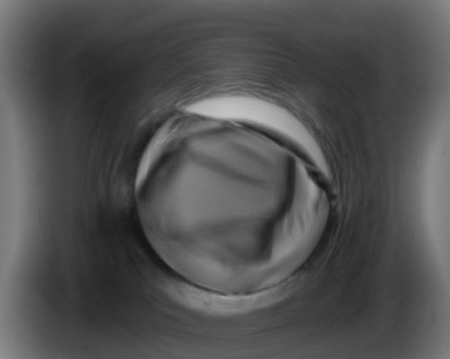 X0000086300039200704201951