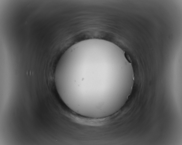 X0000086300040200704201951