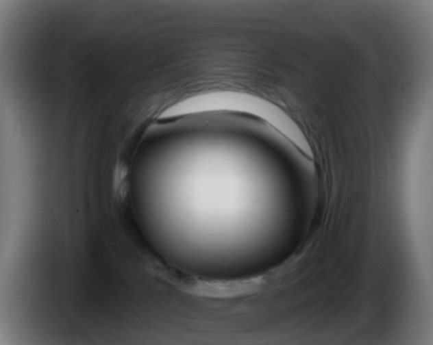 X0000086300041200704201951