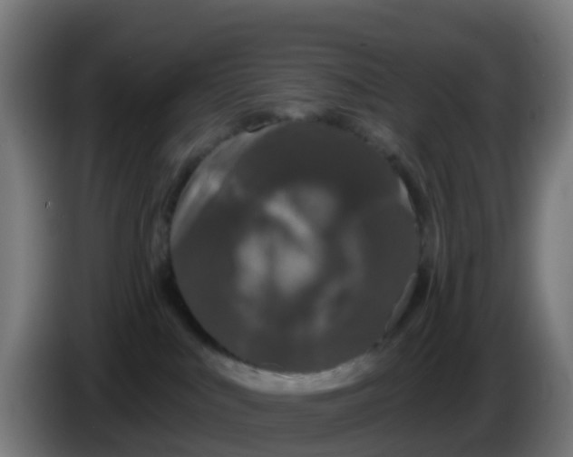 X0000086300043200704201951