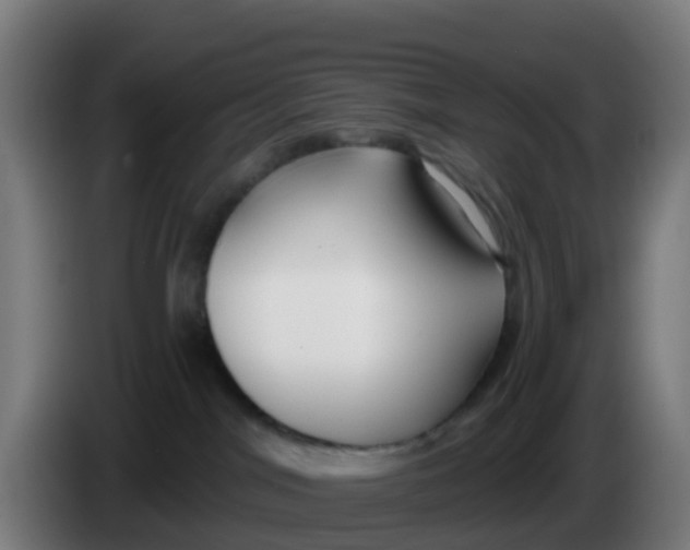 X0000086300044200704201951