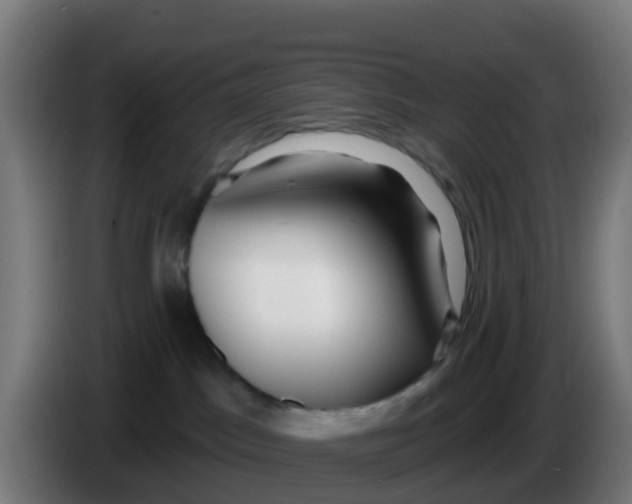 X0000086300045200704201951