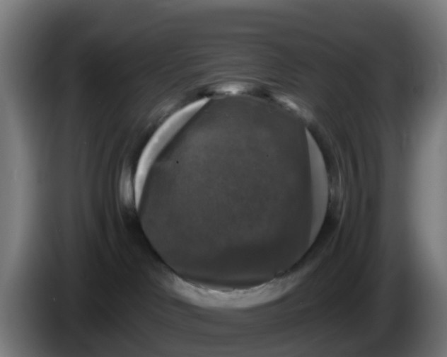 X0000086300046200704201951