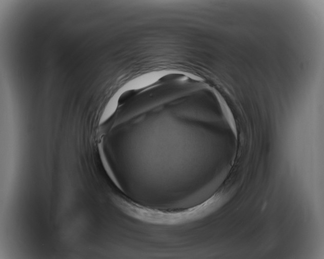 X0000086300048200704201951