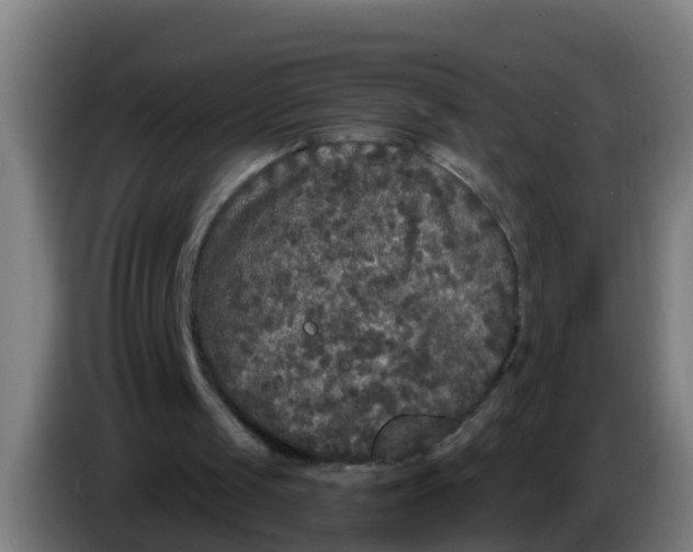 X0000086300049200704201950