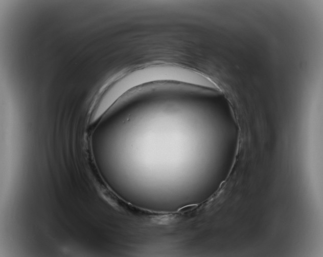 X0000086300050200704201950