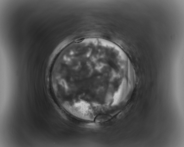 X0000086300053200704201950