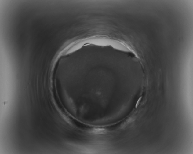 X0000086300055200704201950