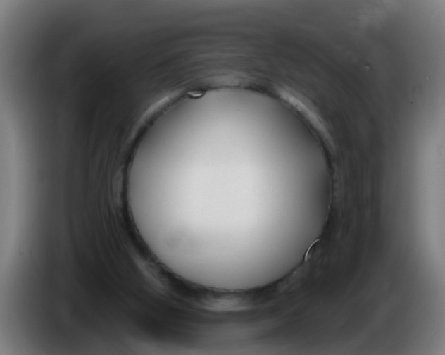 X0000086300058200704201950