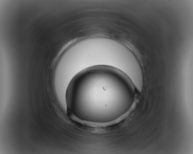 X0000086300060200704201950