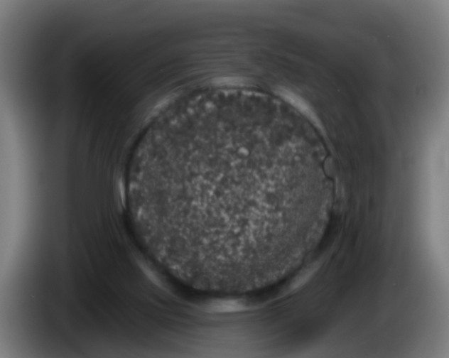 X0000086300061200704201950