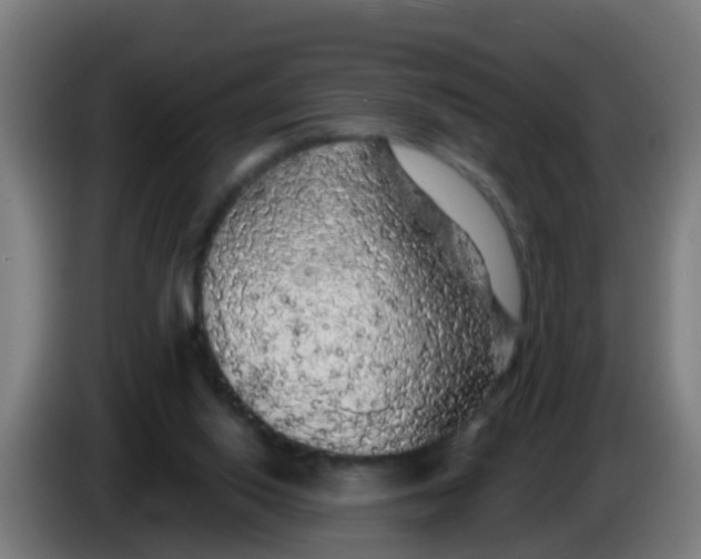 X0000086300062200704201950