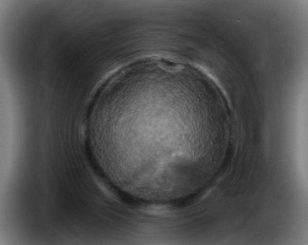 X0000086300063200704201950