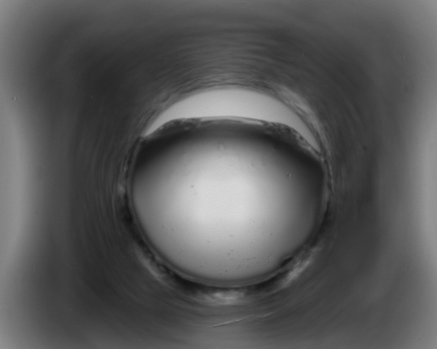 X0000086300065200704201950