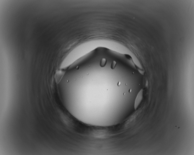 X0000086300066200704201950