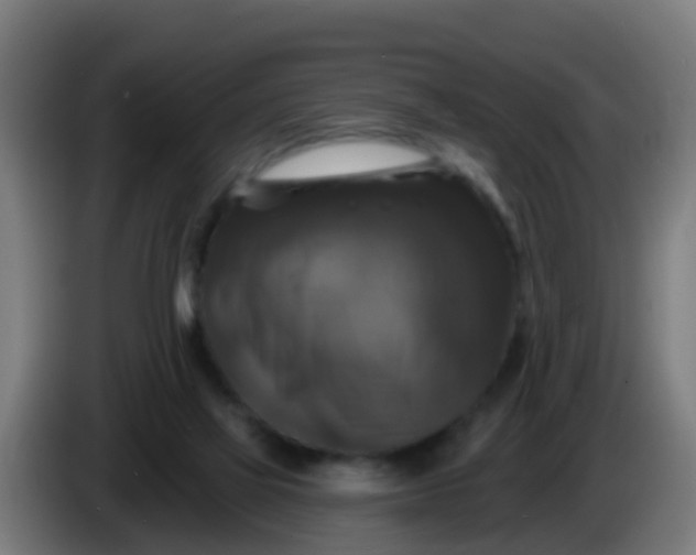 X0000086300069200704201950