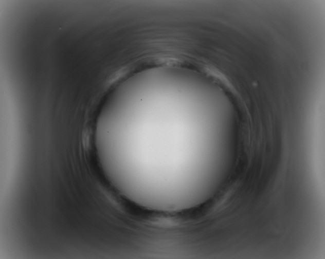 X0000086300071200704201950