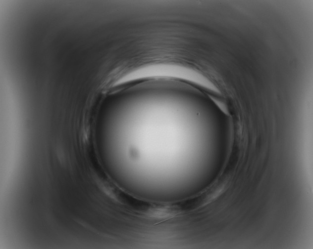 X0000086300072200704201950