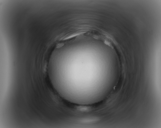 X0000086300073200704201950