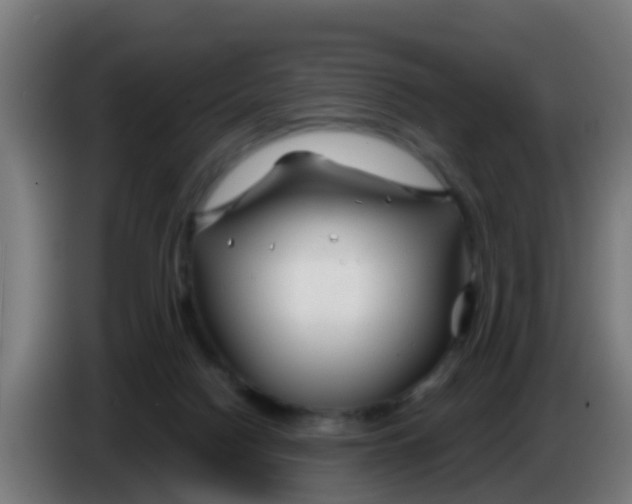 X0000086300074200704201950