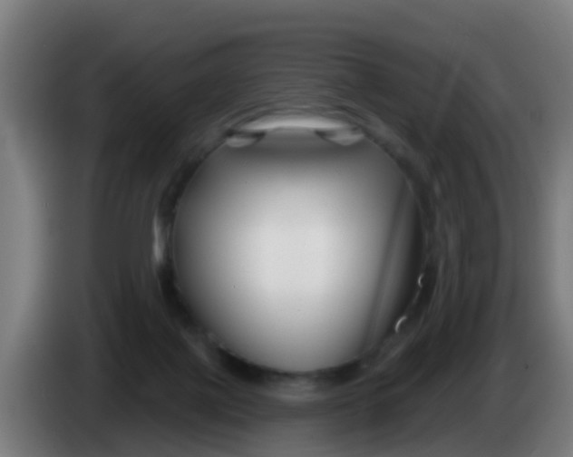 X0000086300075200704201950