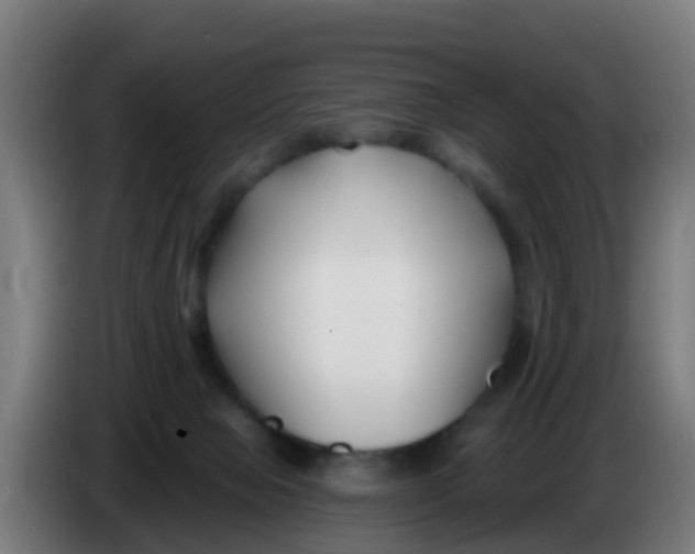 X0000086300077200704201950