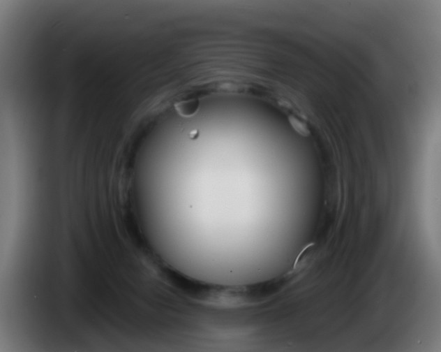 X0000086300078200704201951